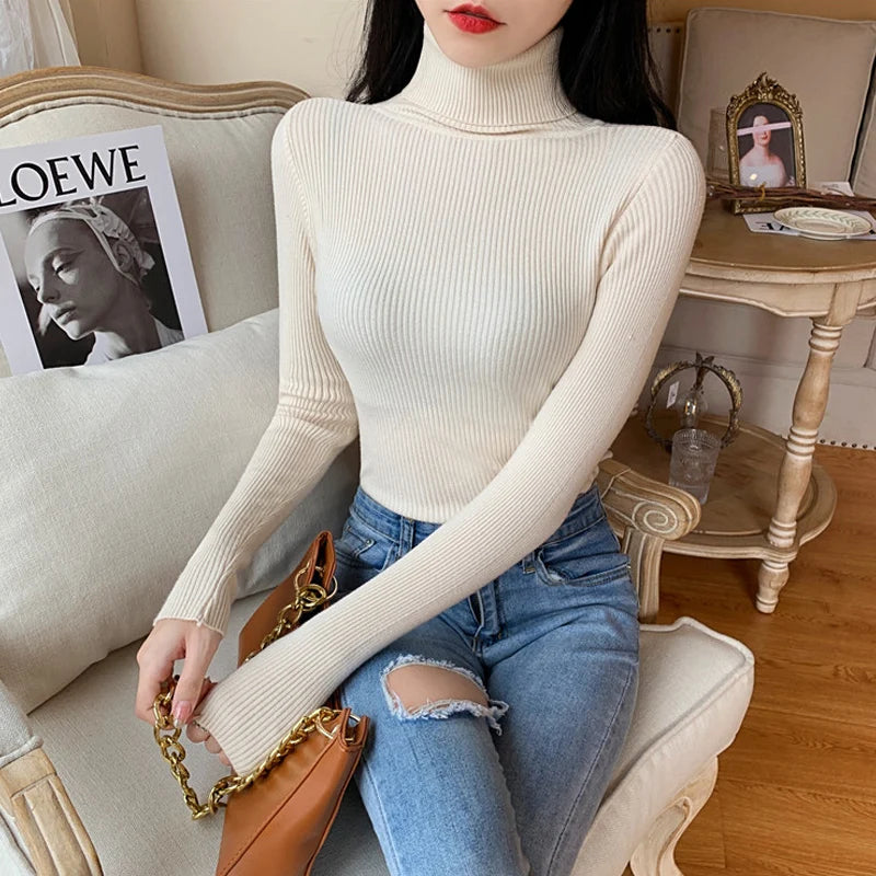 Long Sleeve Knitted Foldover Turtleneck