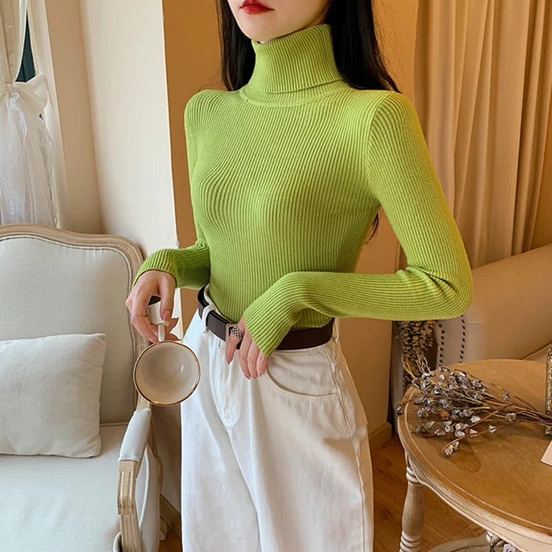 Long Sleeve Knitted Foldover Turtleneck