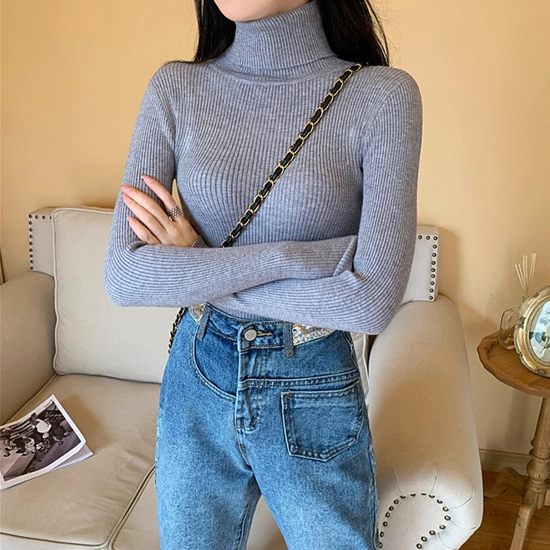 Long Sleeve Knitted Foldover Turtleneck