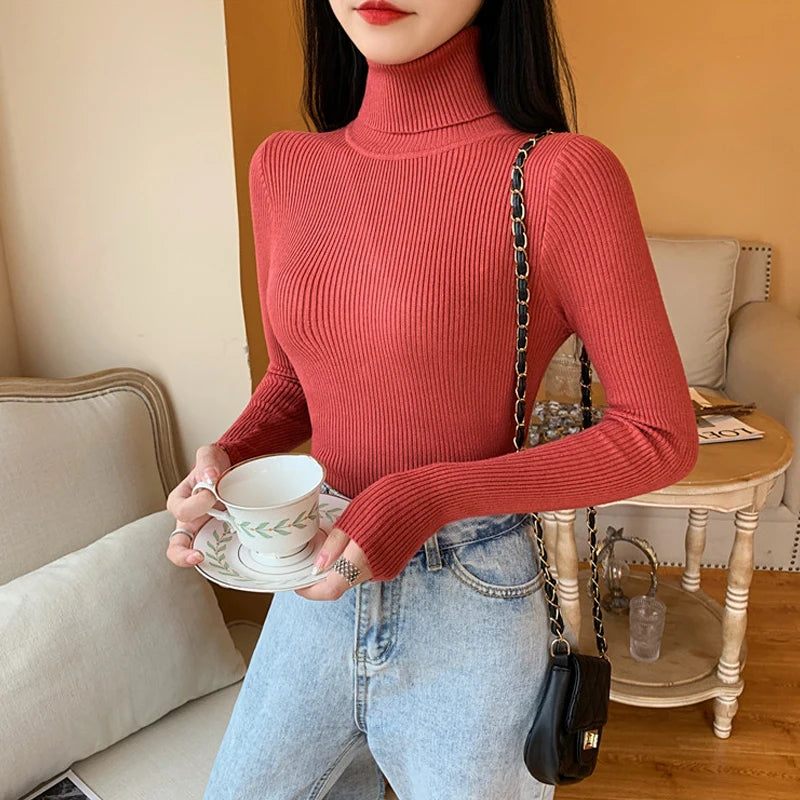 Long Sleeve Knitted Foldover Turtleneck