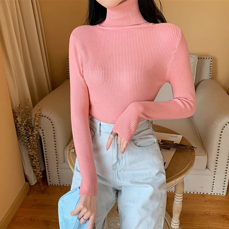 Long Sleeve Knitted Foldover Turtleneck