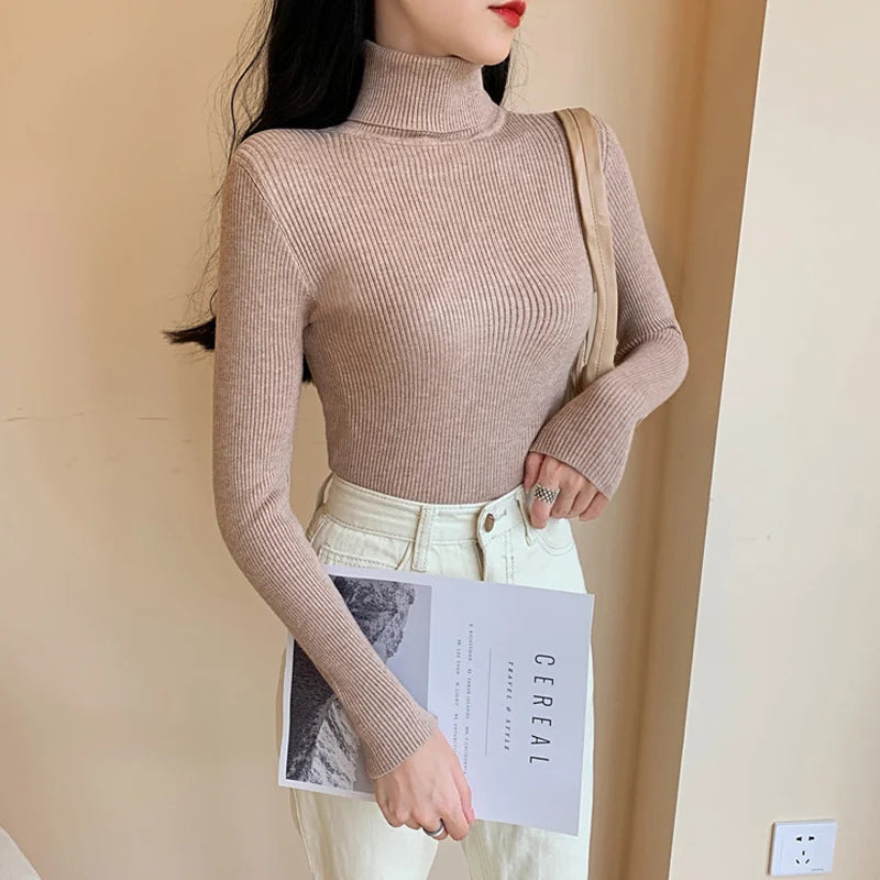 Long Sleeve Knitted Foldover Turtleneck