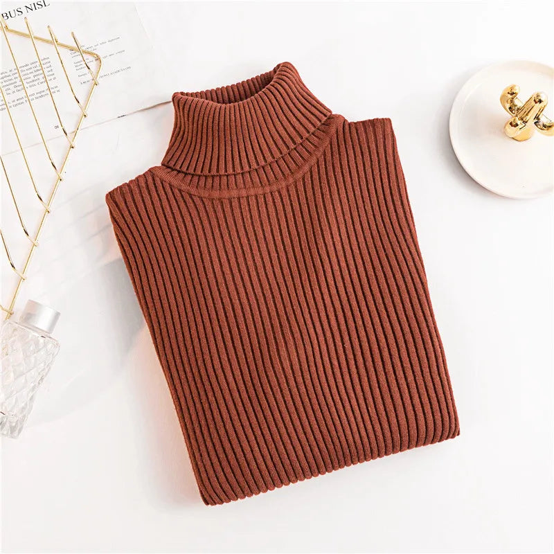 Long Sleeve Knitted Foldover Turtleneck