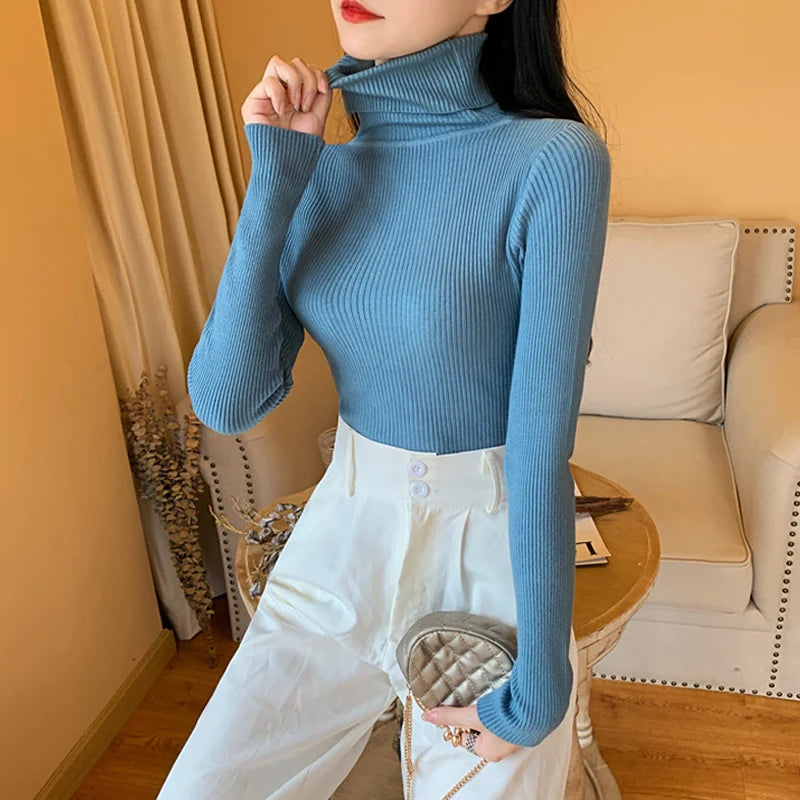 Long Sleeve Knitted Foldover Turtleneck