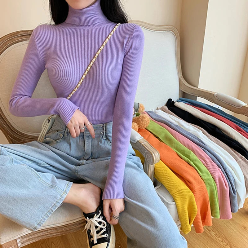 Long Sleeve Knitted Foldover Turtleneck